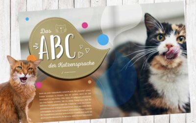 Das ABC der Katzensprache