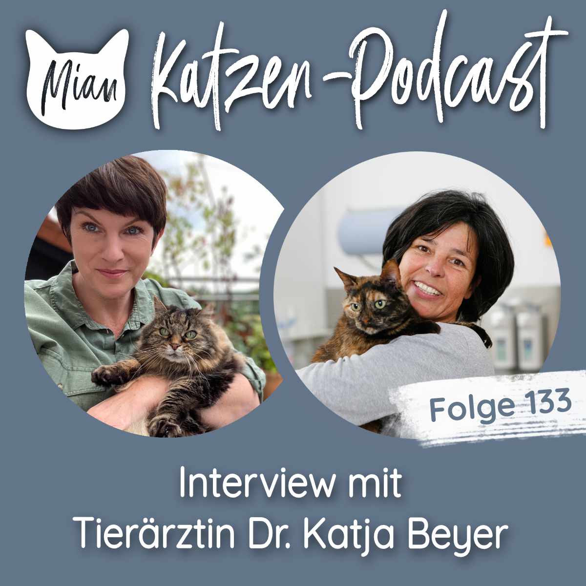 Eine Tierarztpraxis nur für Katzen - Interview mit Tierärztin Dr. Katja Beyer | MKP133 episode artwork