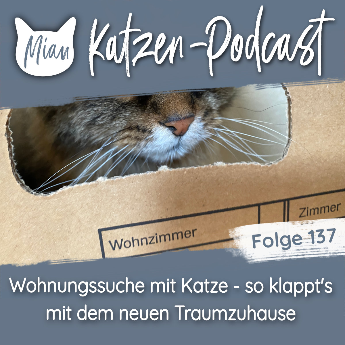 Wohnungssuche mit Katze - so klappt es mit dem neuen Traumzuhause | MKP137