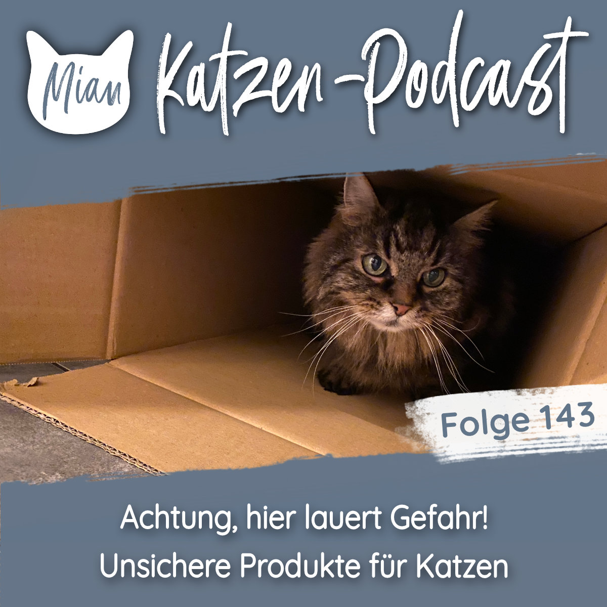 Achtung, hier lauert Gefahr - unsichere Produkte für Katzen | MKP143