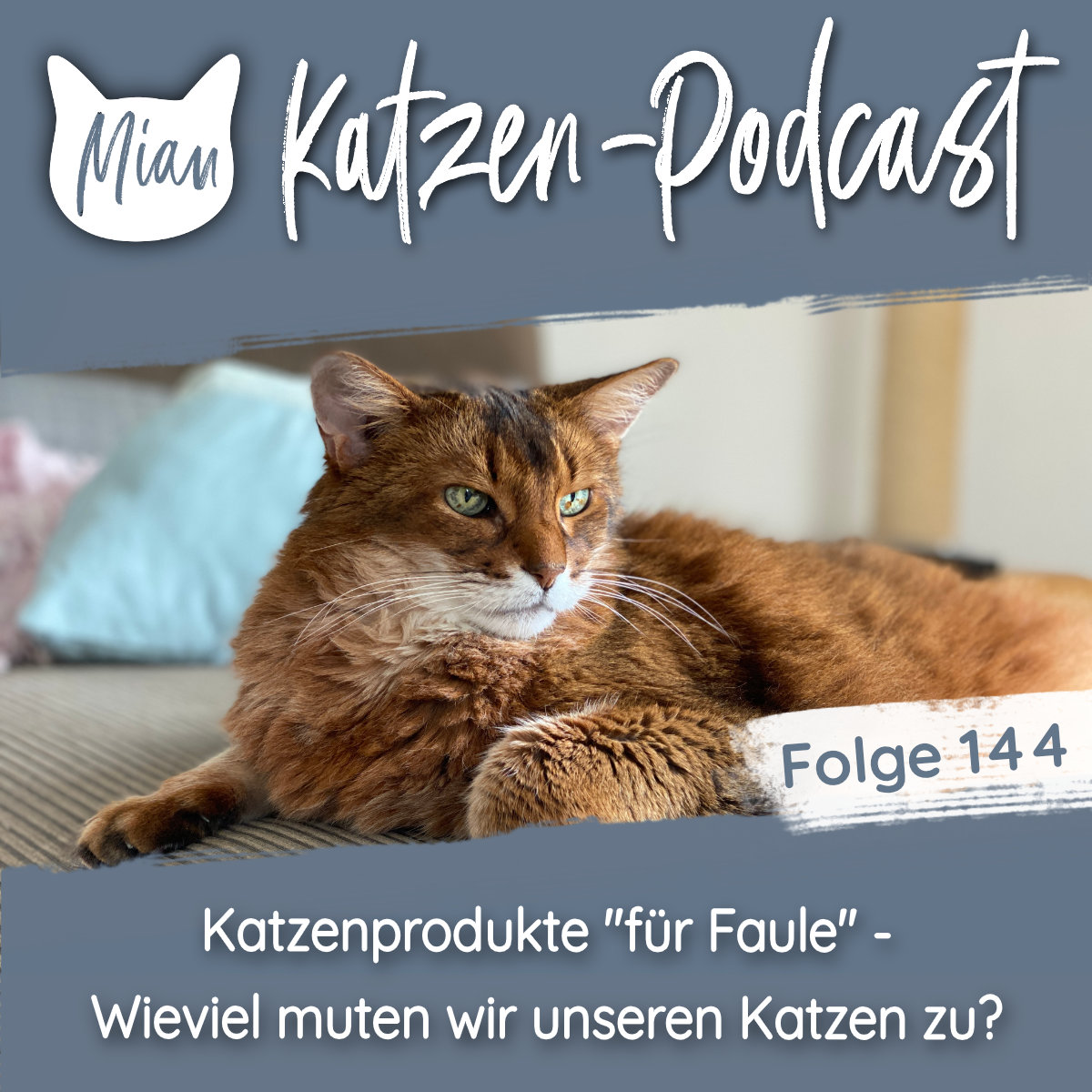 Katzenprodukte ”für Faule” - Wieviel muten wir unseren Katzen zu? | MKP144