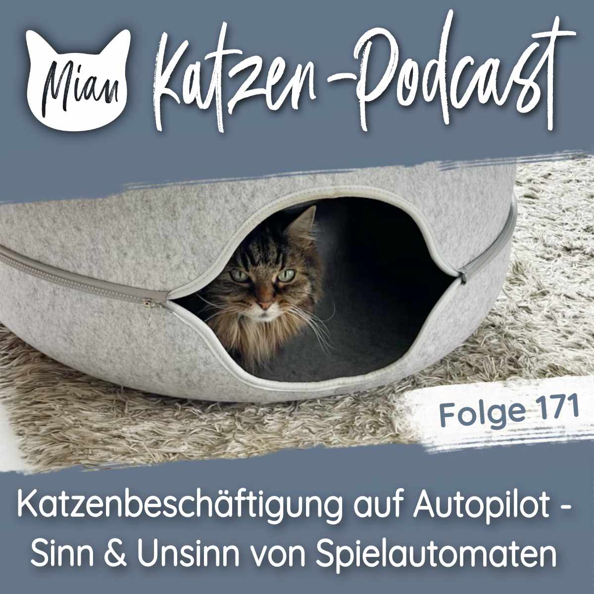 Katzenbeschäftigung auf Autopilot - Sinn & Unsinn von Spielautomaten | MKP171