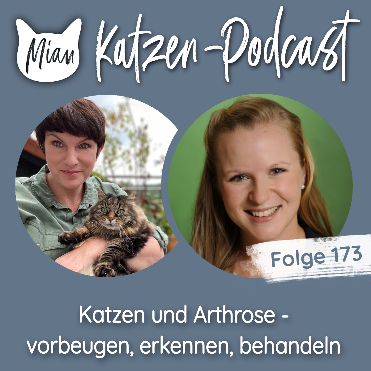 Katzen und Arthrose - vorbeugen, erkennen, behandeln | MKP173