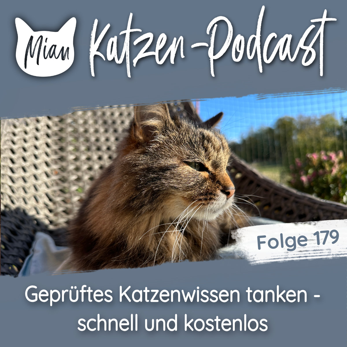 Geprüftes Katzenwissen tanken - schnell und kostenlos | MKP179