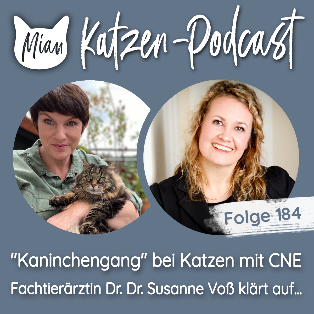 ”Kaninchengang” bei Katzen mit CNE - Fachtierärztin Dr. Dr. Susanne Voß klärt auf... | MKP184