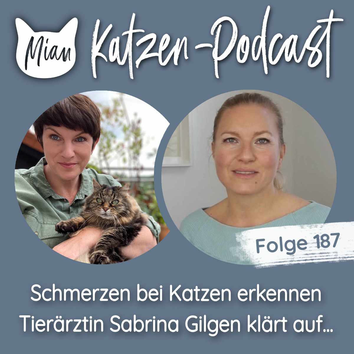 Schmerzen bei Katzen erkennen -  Tierärztin Sabrina Gilgen klärt auf...
