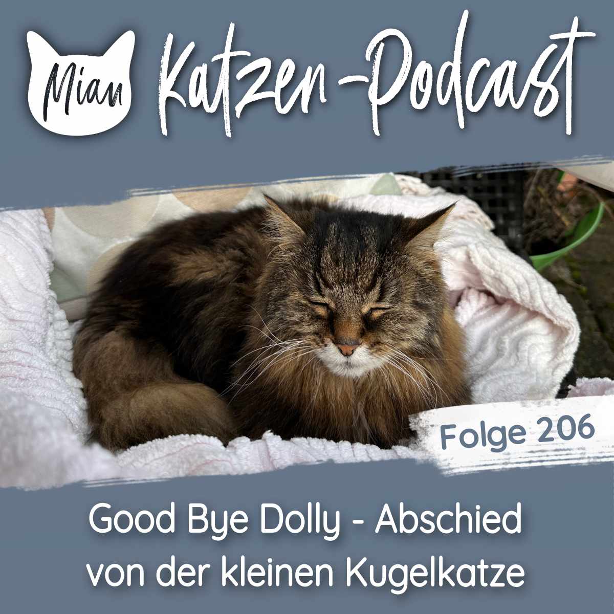 Good Bye Dolly - Abschied von der kleinen Kugelkatze | MKP206