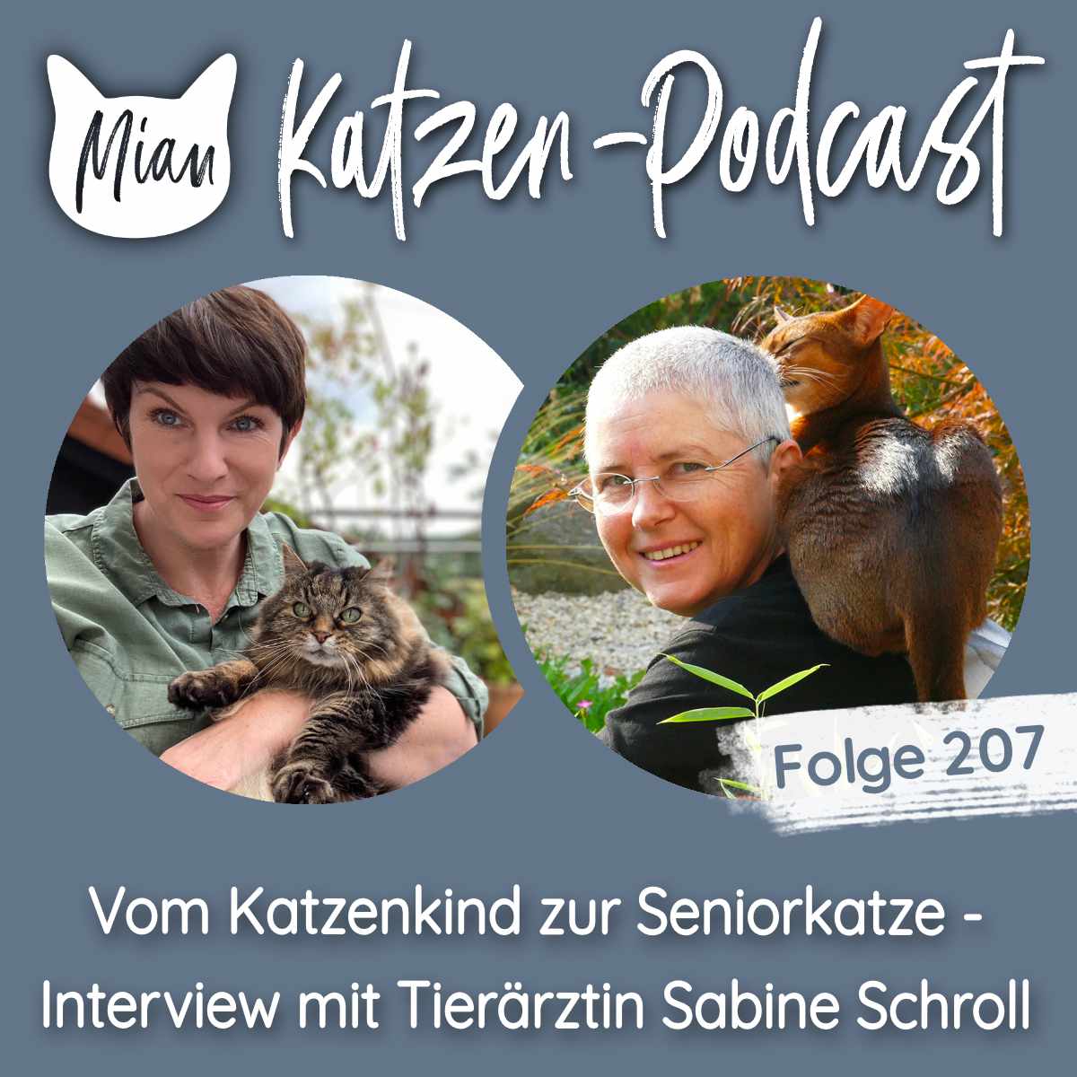 Vom Katzenkind zur Seniorkatze - Interview mit Tierärztin Sabine Schroll | MKP207