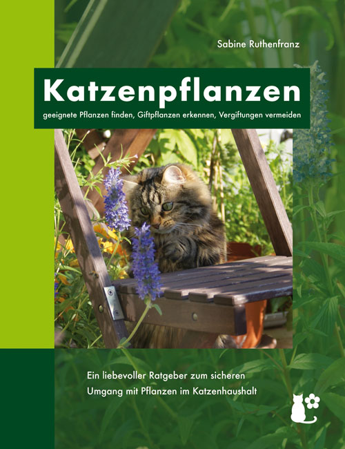 Katzenpflanzen Buch von Sabine Ruthenfranz